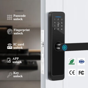 FP03