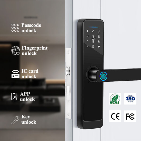 FP03