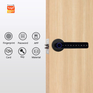 OEM Electronic Lock for Door Manufacturer Multi-Unlock Solutions