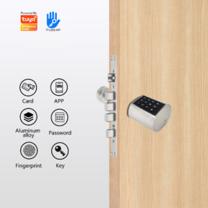 Home Lock Manufacturer Smart Cylinder Lock Password Unlock