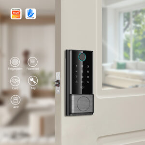 Keyless Entry Door Lock Factory Smart Deadbolt Lock Remote Control Unlock