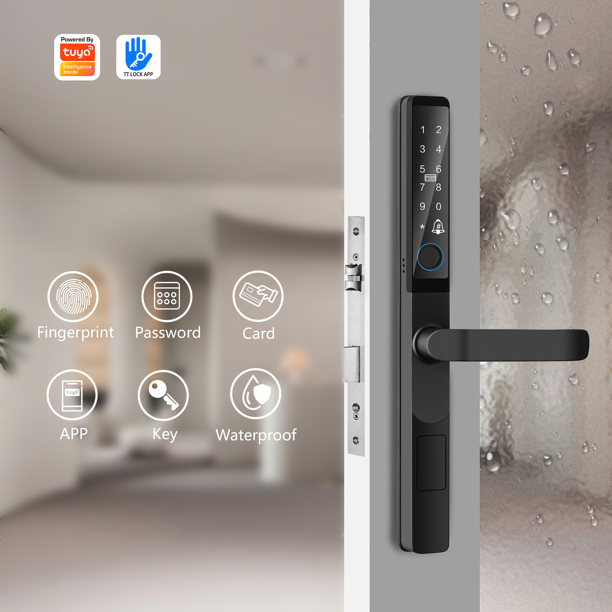 Smart Fingerprint Door Lock with Built-in Doorbell | Password, Card, App Control, Type-C Power for Home & Office Security