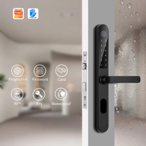 TT Lock App-Controlled Smart Door Lock | Biometric Fingerprint + Digital Password + Waterproof Design, Perfect for Outdoor Courtyards & Glass Doors